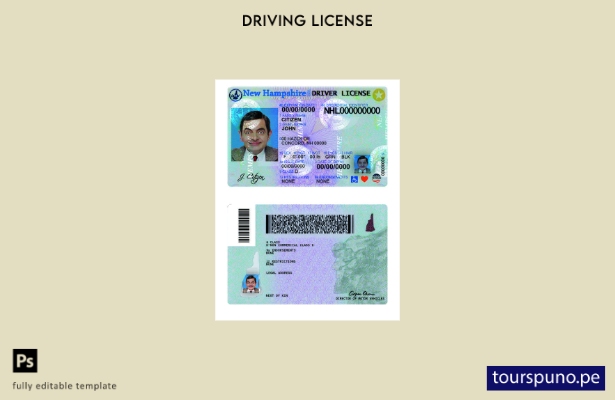 Plantilla de permiso de conducir de New Hampshire lista para imprimir